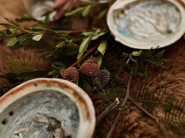 Native bush food for a palawa kipli tour in Tasmania