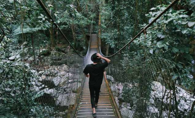 a woman enjoying the scenic walk by the Minnamurra Rainforest Centre in Budderoo National Park