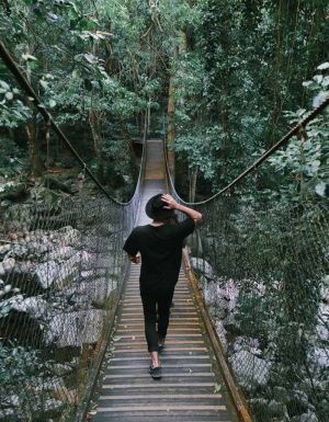 a woman enjoying the scenic walk by the Minnamurra Rainforest Centre in Budderoo National Park