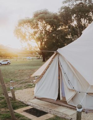 Exterior of Pine Country glamping tent in Mount Gambier