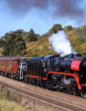 steam rising from the Kiama Picnic Train
