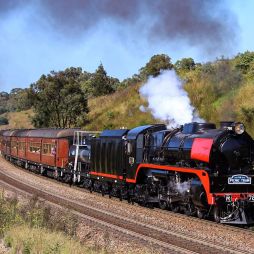 steam rising from the Kiama Picnic Train