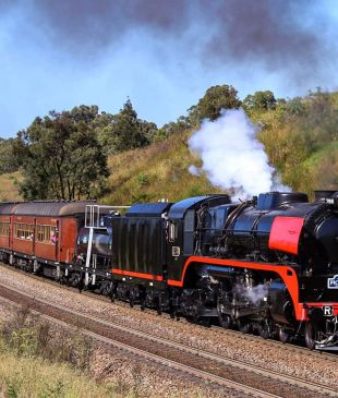 <p><i>This vintage steam train journey</i> serves up coastal views and <i>high tea</i></p>
