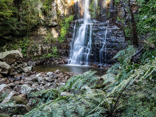 The scenic Minnamurra Falls in Minnamurra Rainforest Centre, Jamberoo