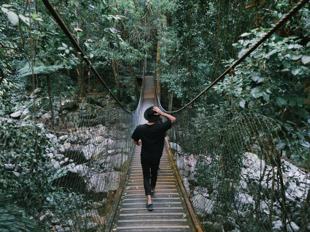 the scenic walk by the Minnamurra Rainforest Centre in Budderoo National Par