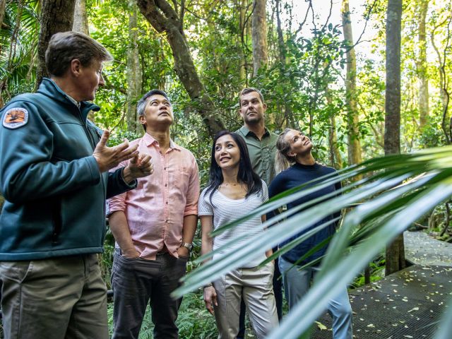 Couples enjoying a visit to the Minnamurra Rainforest in Budderoo National Park, Jamberoo