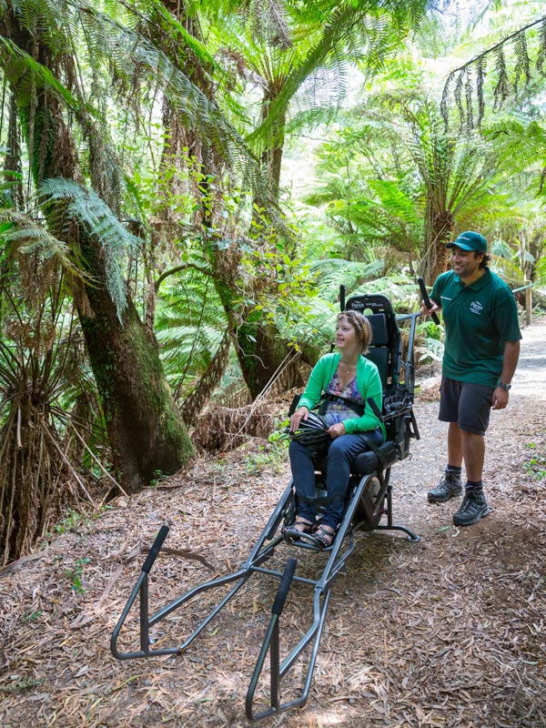 volunteers assisting guests with a TrailRider in Dandenong Ranges National Park