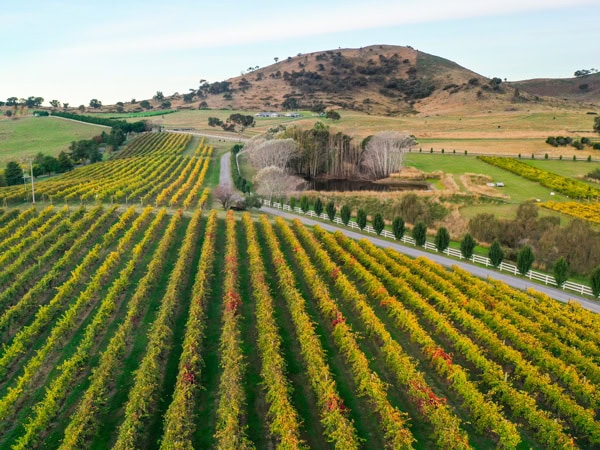 Brindabella Hills Winery in Canberra