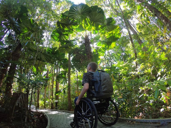 a person on a wheelchair exploring Daintree Rainforest