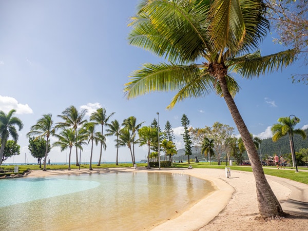 the Airlie Beach Lagoon dotted with palm trees