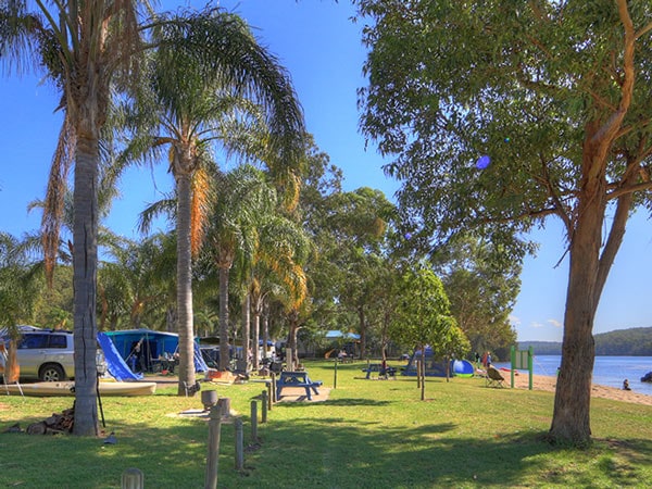 the campground at BIG4 Nelligen Holiday Park