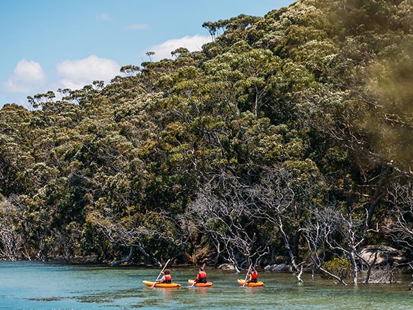 bundeena kayaks group exploring sutherland shire