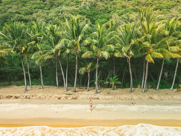 an aerial shot of a woman standing in front of palm trees at Ellis Beach, Cairns