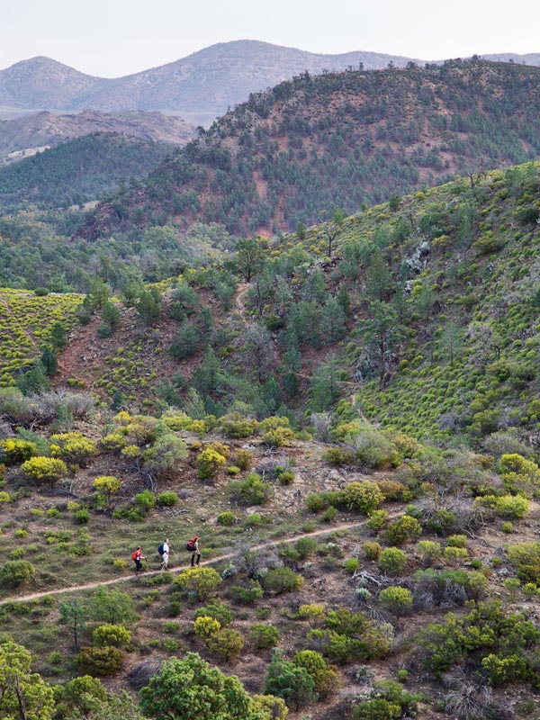 a group of people trekking along Arkaba during an expertly guided walking holiday