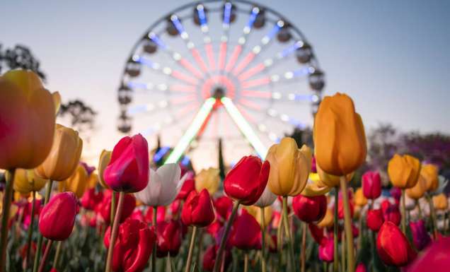 Floriade in Canberra