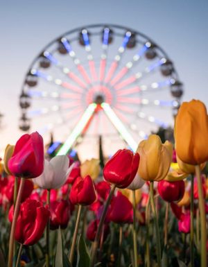 Floriade in Canberra