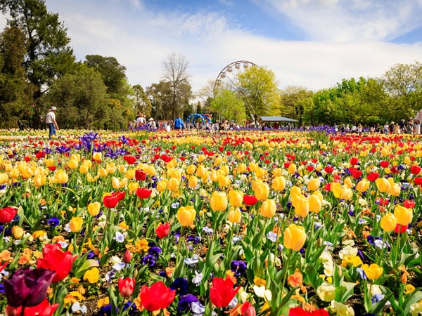 Floriade in Canberra