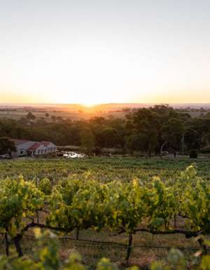 Winburndale Wines in Bathurst, NSW