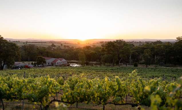 Winburndale Wines in Bathurst, NSW