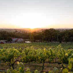 Winburndale Wines in Bathurst, NSW