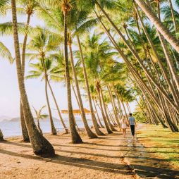 Williams Esplanade Palm Cove