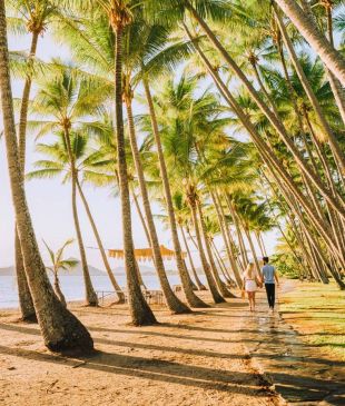 <p><i>12 memorable things to do</i> in <strong>Palm Cove</strong></p>
