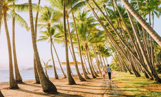 Williams Esplanade Palm Cove