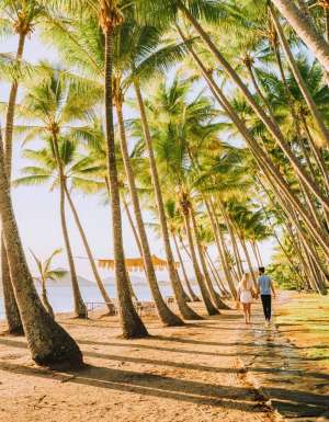 Williams Esplanade Palm Cove