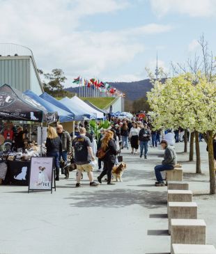 <p><i>12 of the best markets</i> in <strong>Canberra</strong></p>
