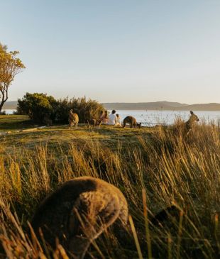 <p><i>6 of the best camping spots</i> in and around <strong>Batemans Bay</strong></p>
