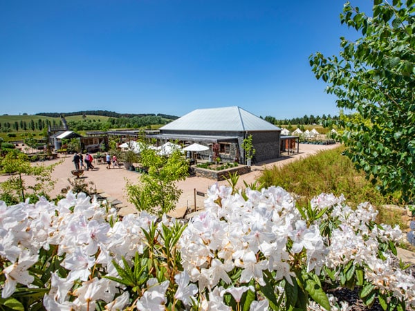visitors enjoying the scenic grounds of Mayfield Garden, Oberon