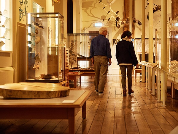 Tasmanian Museum and Art Gallery, Tasmania experiences