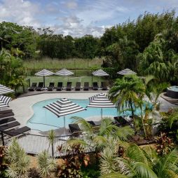 the pool at The Lord Byron