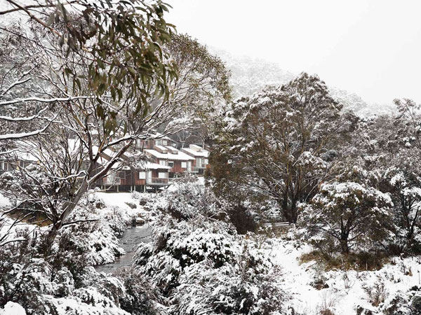 the snow-covered Cedar Cabin Thredbo accommodation