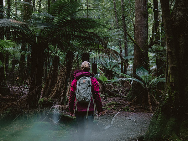 Trowutta Arch, Tasmania experiences