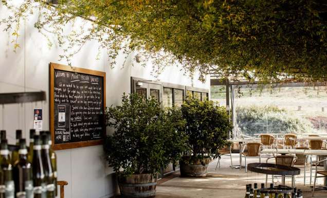Mount Majura Vineyard in Canberra