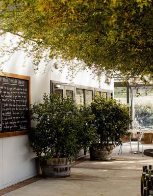 Mount Majura Vineyard in Canberra