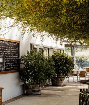 <p><i>8</i> <strong>Canberra</strong> wineries you need to visit</p>
