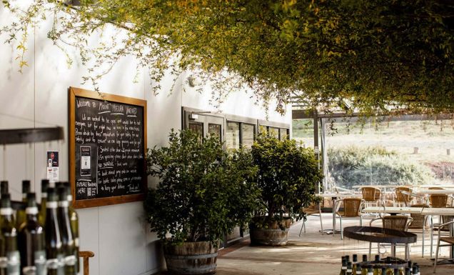 Mount Majura Vineyard in Canberra