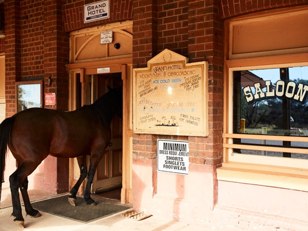 Willie the horse entering the saloon at Grand Hotel Kookynie, WA