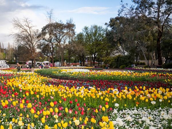Floriade in Canberra
