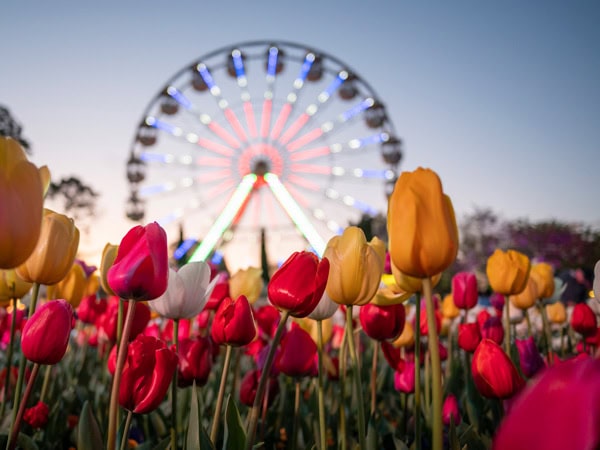 Floriade in Canberra