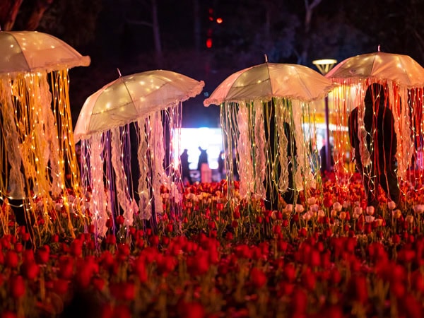 NightFest at Floriade, Canberra