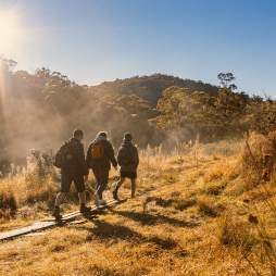 Canberra walks
