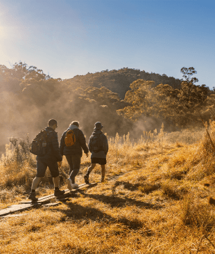 <p><i>14</i> <strong>Canberra</strong> walks for when you can’t get enough of nature</p>
