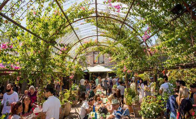 The Grounds of Alexandria, Family restaurants in Sydney