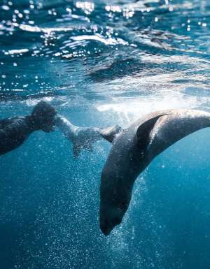 The 16 best things to do in Batemans Bay