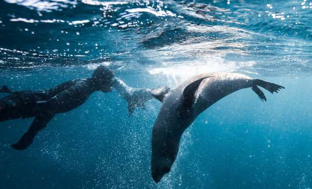 The 16 best things to do in Batemans Bay