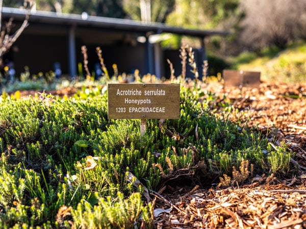 Eurobodalla Regional Botanic Garden in Mogo, NSW