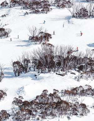 People skiing down the slopes of Thredbo.
